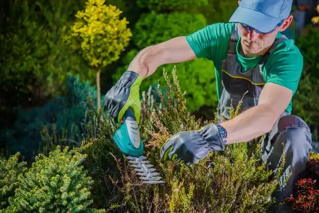 landscaping services Baker